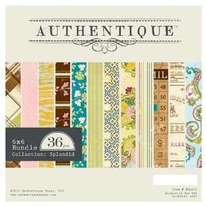  Splendid 6 x 6 Paper Bundle