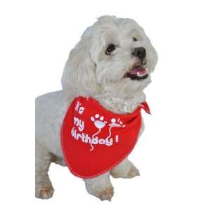   and Meow Doggie Bandana, Its My Birthday, Red, Large