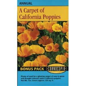 Poppy California Orange   Large Value Packet Seeds