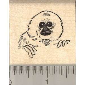  Gibbon Portrait Rubber Stamp Arts, Crafts & Sewing