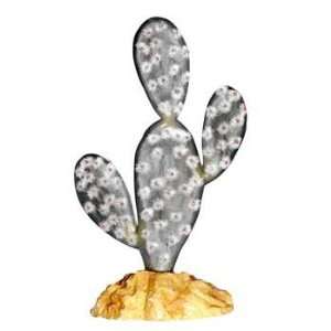    R Zilla Beavertail Cactus 7 Inch Desert Plant