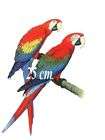 Wandtattoo Papagei Papageien Vogel Sittiche Ara 0972  