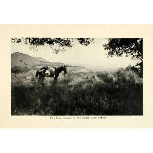 1913 Print Horse Santa Ynez Valley California Barbara Landscape Grass 