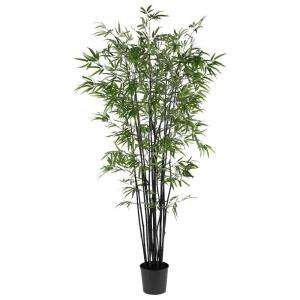 Nearly Natural 6 1/2 Ft. Black Bamboo Silk Tree 5277  