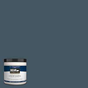 BEHR Premium Plus 8 oz. Thunder Bay Interior/Exterior Paint Tester 