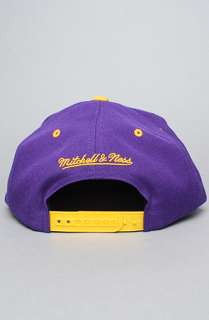 Mitchell & Ness The NBA Arch Snapback Hat in Purple Gold  Karmaloop 