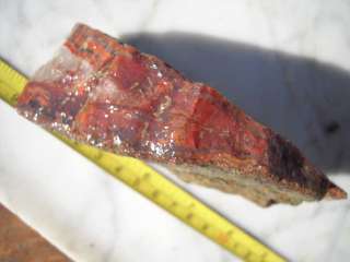 CONDOR AGATE ARGENTINA RED ORANGE BIG ROUGH FORTIFIED CHUNK AAA+ $10 