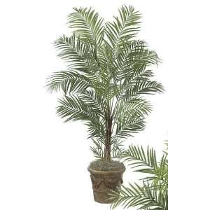   2670   7 Foot Deluxe Areca Palm Tree   Green: Home & Kitchen