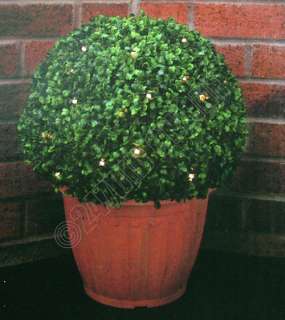 This Solar Powered Light Up Topiary Bush would be a welcome 
