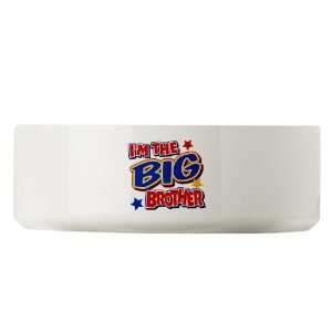  Large Dog Cat Food Water Bowl Im The Big Brother 