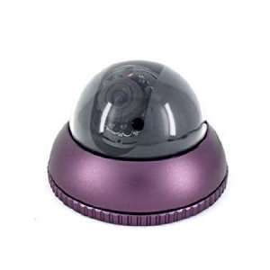   Sharp Color CCD 3.6mm Lens Vandal proof Camera with 50 IR: Camera