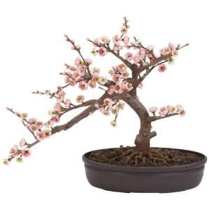  Cherry Blossom Bonsai Silk Tree: Electronics