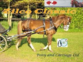 Zilco Black Classic Carriage Driving Horse Harness Empathy Collar 