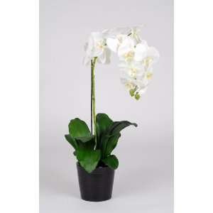   Artificial 25 Single Stem Phalaenopsis Orchid