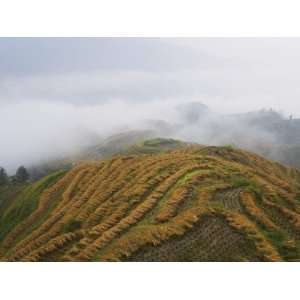  China, Guangxi Province, Longsheng, Landscape of Rice 