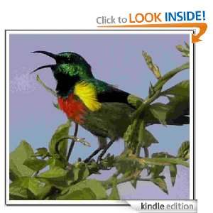 Bird Watching Tips For Beginners John Barrett  Kindle 