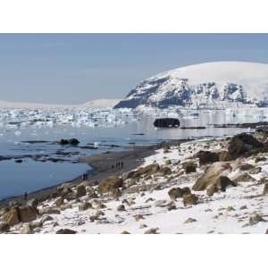 Brown Bluff, Antarctic Peninsula, Antarctica, Polar Regions Premium 