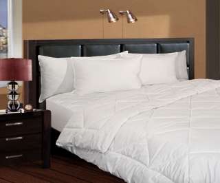 Dorm NEW TXL Bed in a Bag Set Comforter Pillow Mattress Pad  