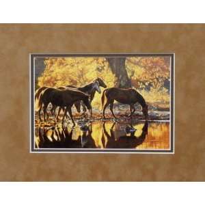 Tim Cox AUTUMN AMBER GLOW Matted Suede Print