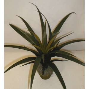  22 Potted Plastic Yucca Plant