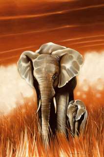 Big Mama   Elephant Poster   61x91.5cm  