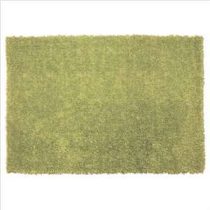    Frisco Coral Lime Green Shag Rug Size 79 x 99