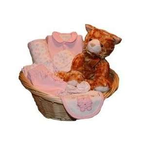  Kitty Cat Baby Gift Basket for Premature Girl Everything 