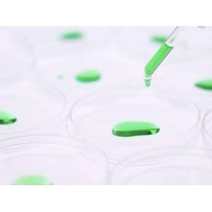 Dropper Placing Green Chemical Liquid into Petri Dishes Photographic 