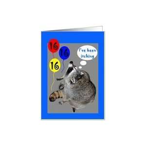  16th Birthday, raccoons itching with balloons Card Toys 