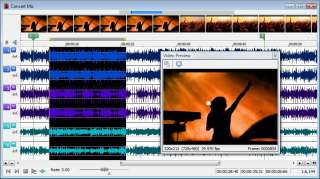 Sound Forge Pro 10 supports multiple video formats including AVI, WMV 