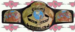 WCW TAG TEAM CHAMPIONSHIP MINI REPLICA WRESTLING BELT  